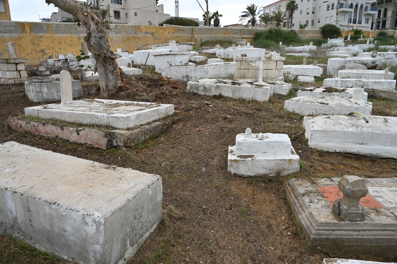 WhatsApp Image 2022-11-30 at 3.24.41 PM.jpeg